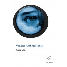 Cosa vedi | Vanessa Ambrosecchio